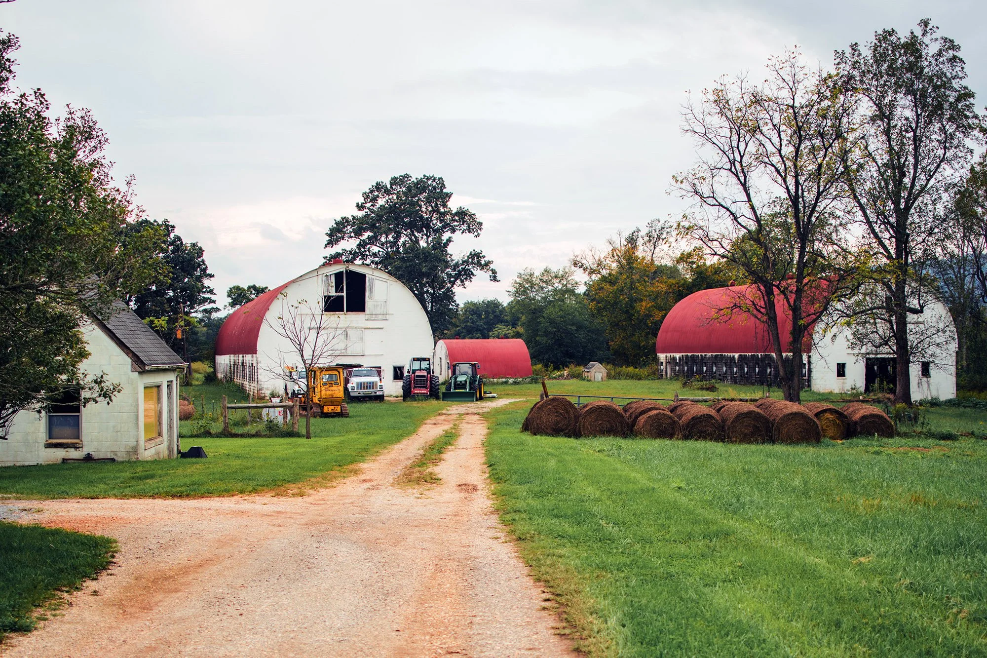 Existing barns at Laurel Cliff. Photo courtesy of Brittany Gordon. 