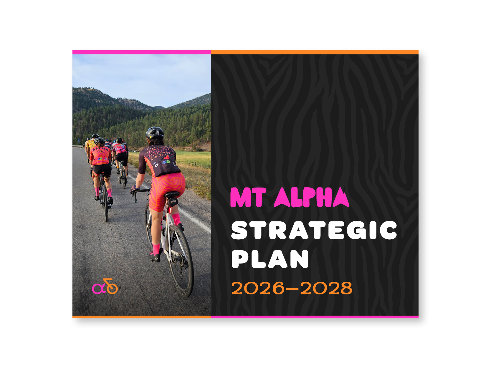 MT Alpha strategic plan report cover