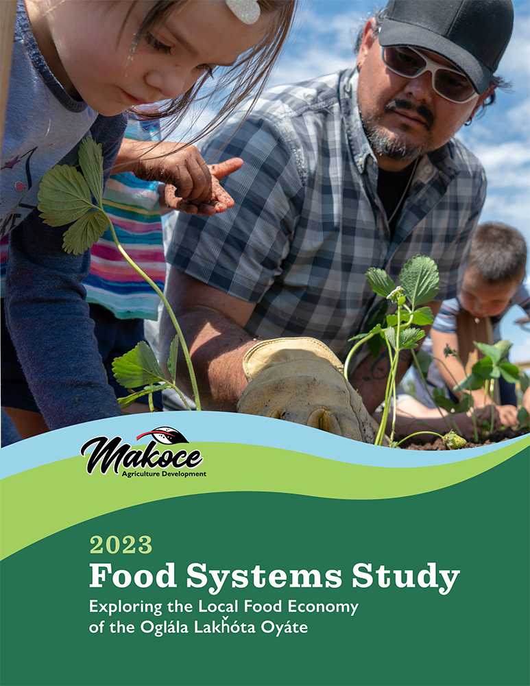 Report cover
