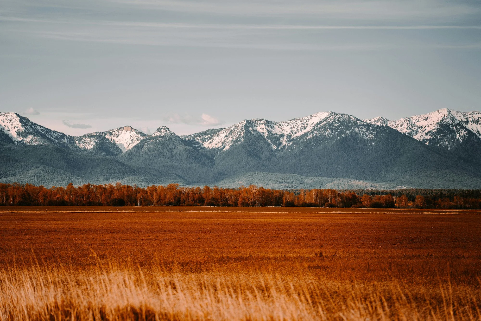 Red and gold grasslands with a large mountain range in the background.