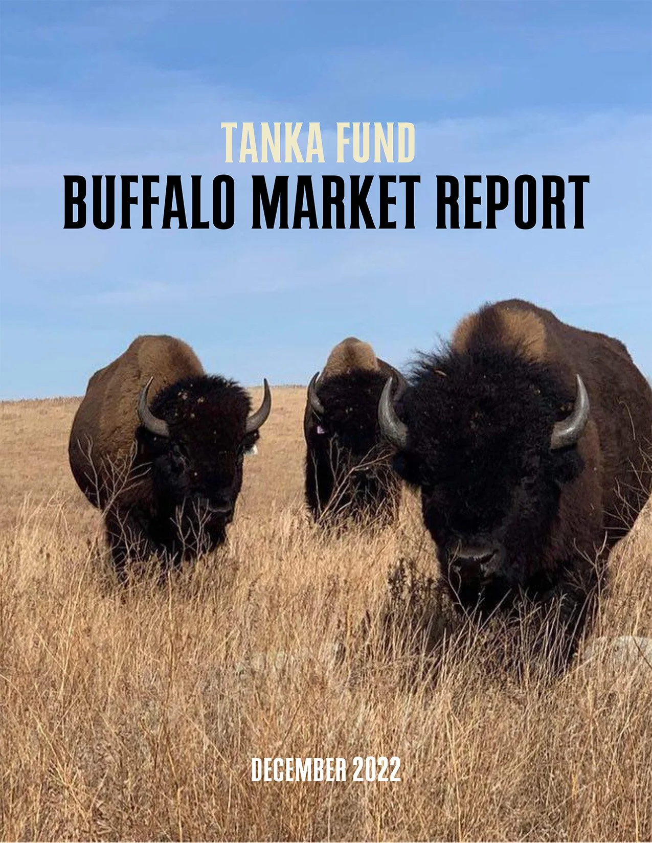Report cover.
