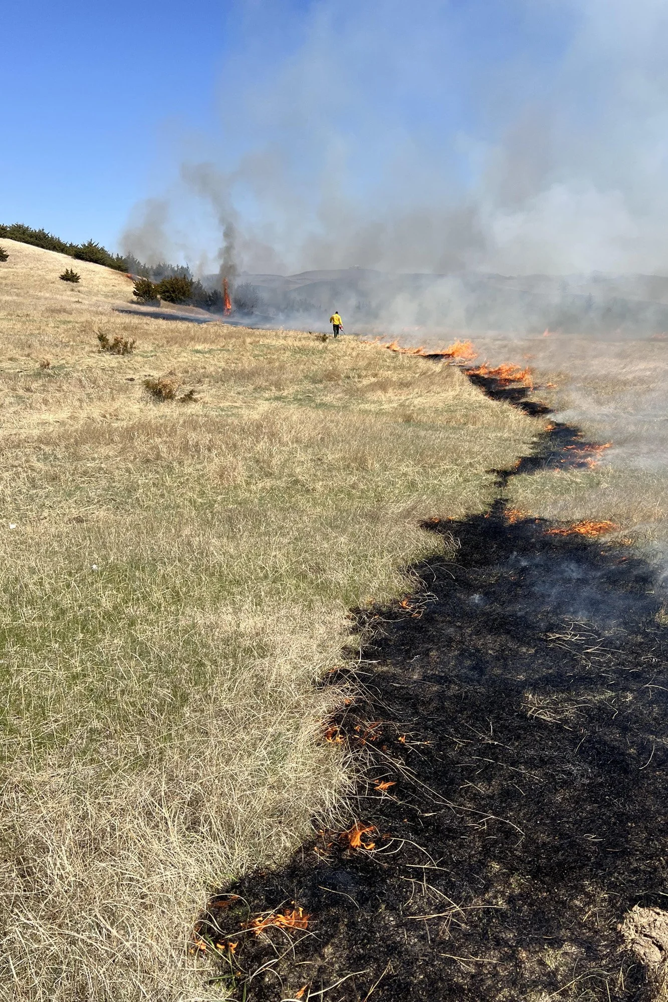 Regenerative field burning.