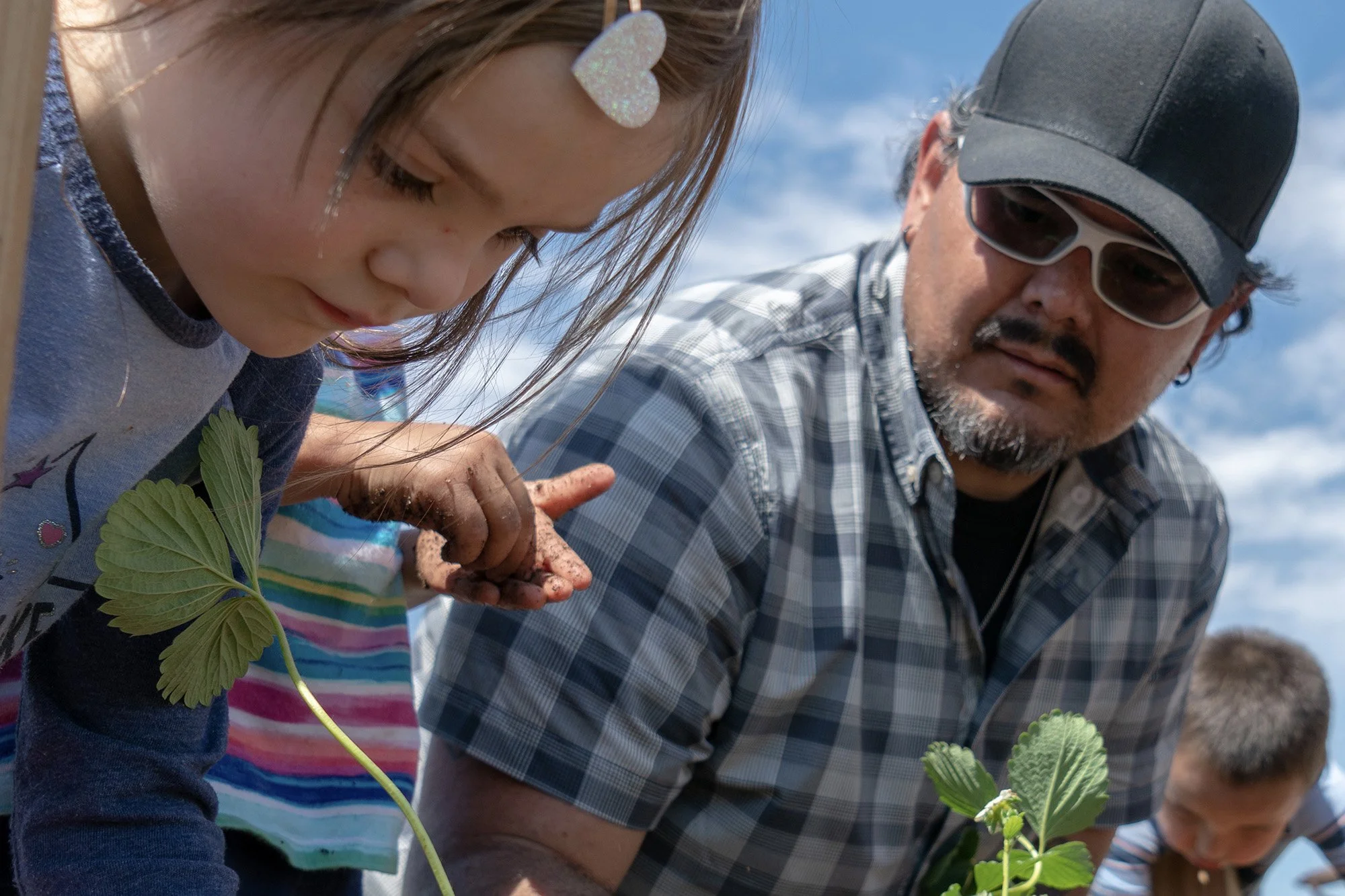 Makoce CEO Nick Hernandez teaches children how to plant strawberries.