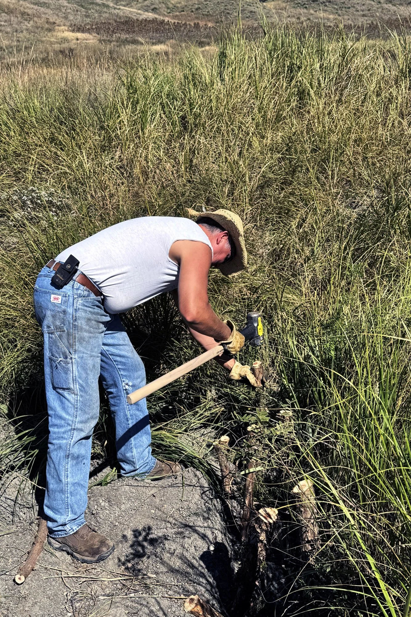 Prairie preservationist works the land.
