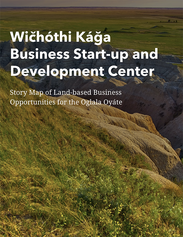 Report cover