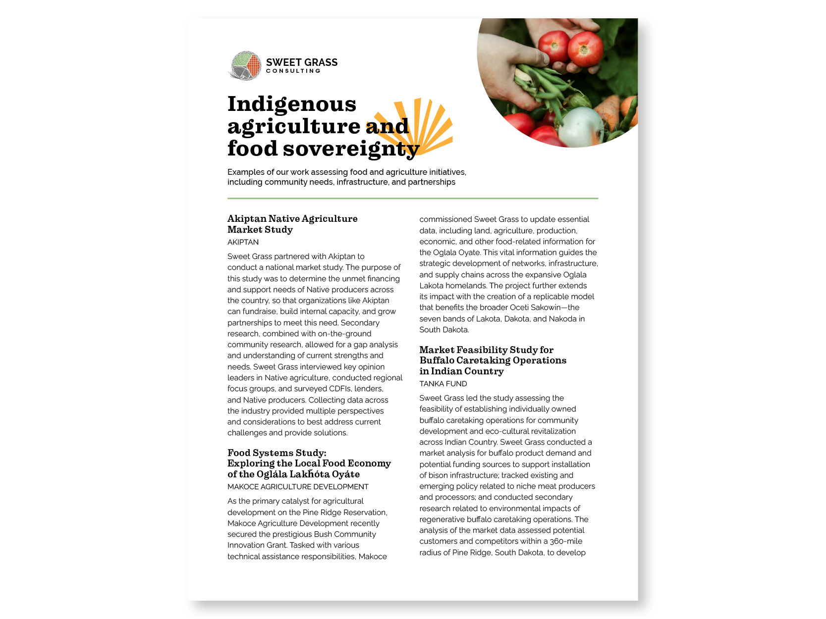 Brochure cover