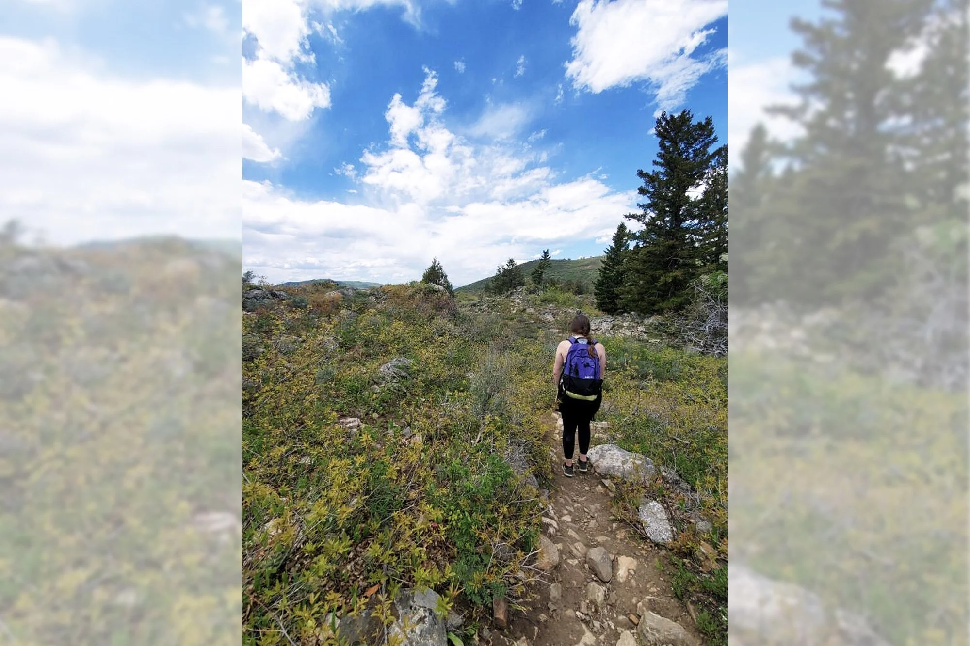 Mary enjoying an early summer hike in Steamboat Springs, Colorado.