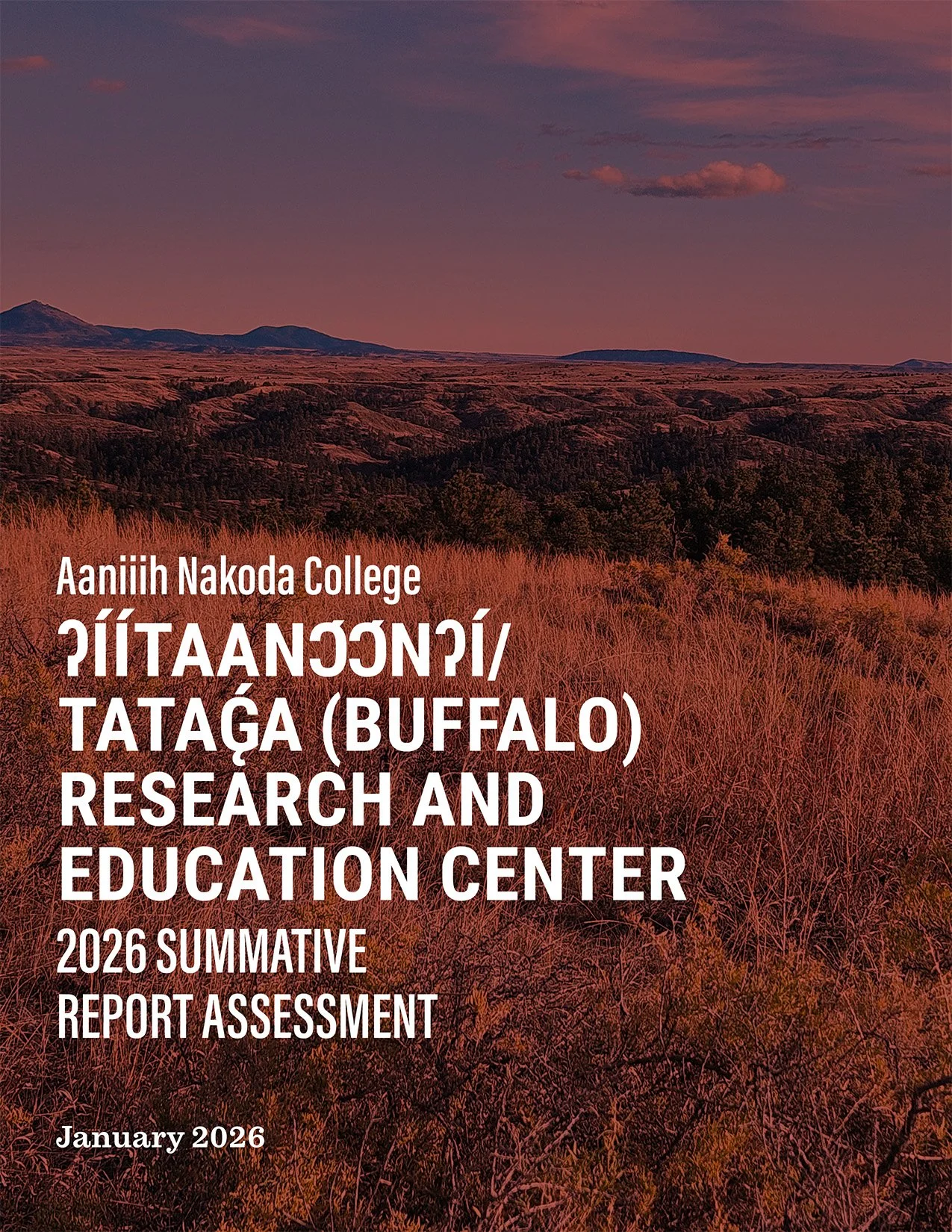 Report cover.