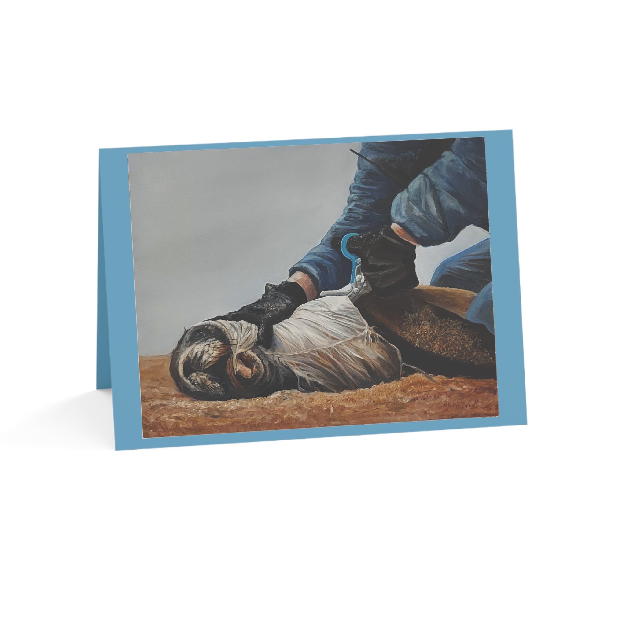 Greeting Cards- Pack of ten cards and envelopes. 5 x 7
