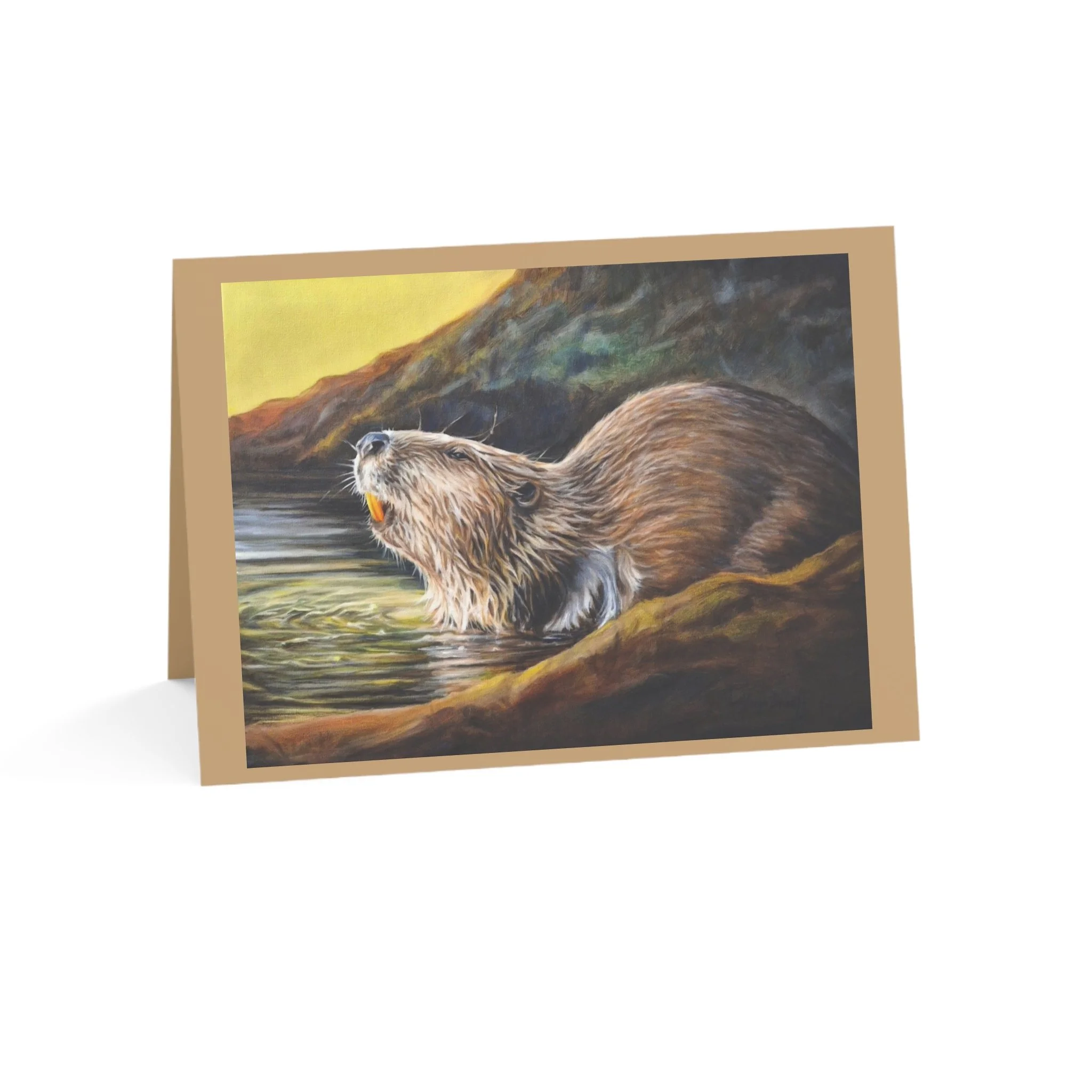 Beaver in Evening Light Greeting Cards (10 pack)  5 x7 with envelopes.