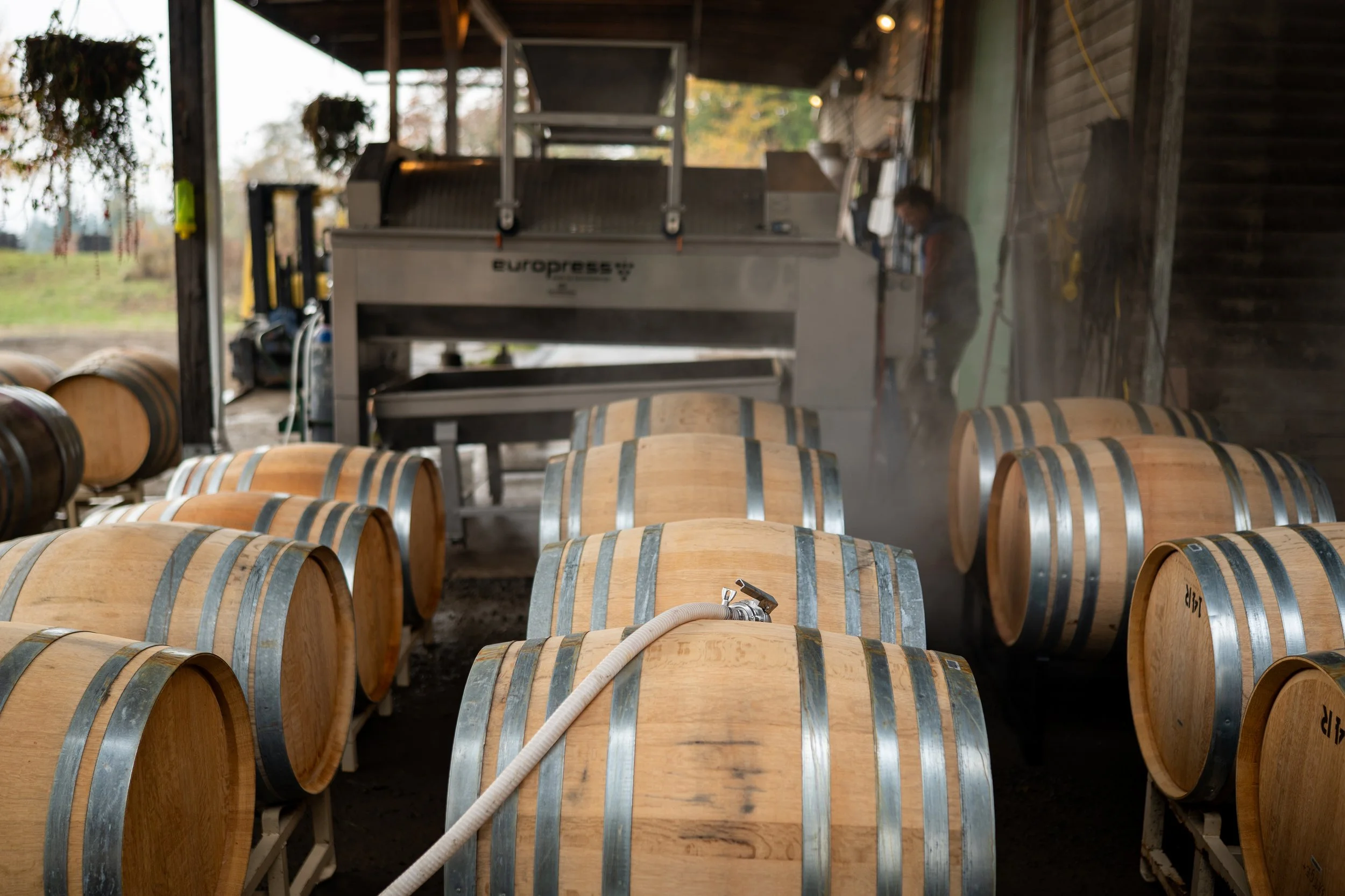 barreling-chardonnay.jpg