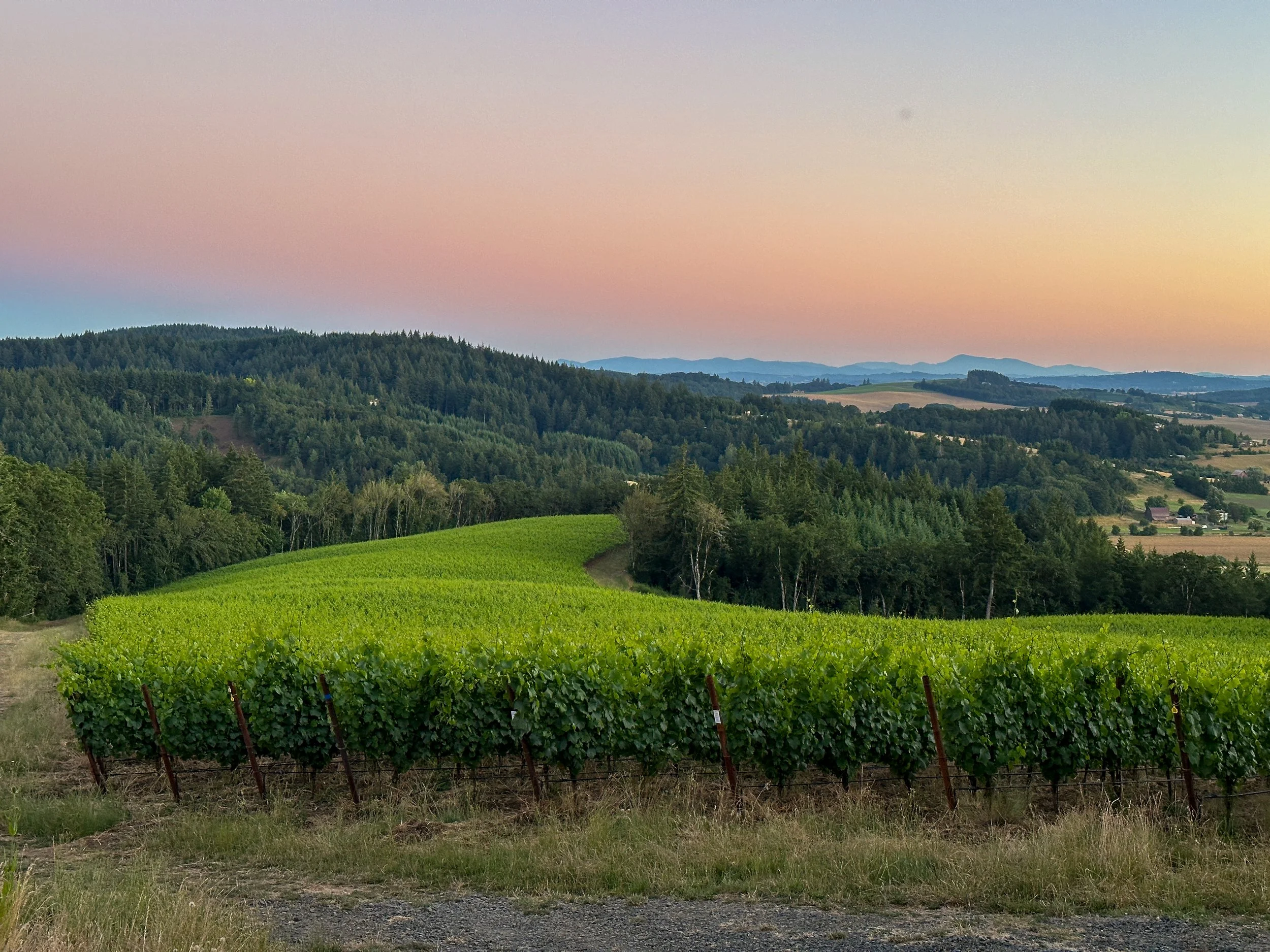 pearlstad-sunset.jpg