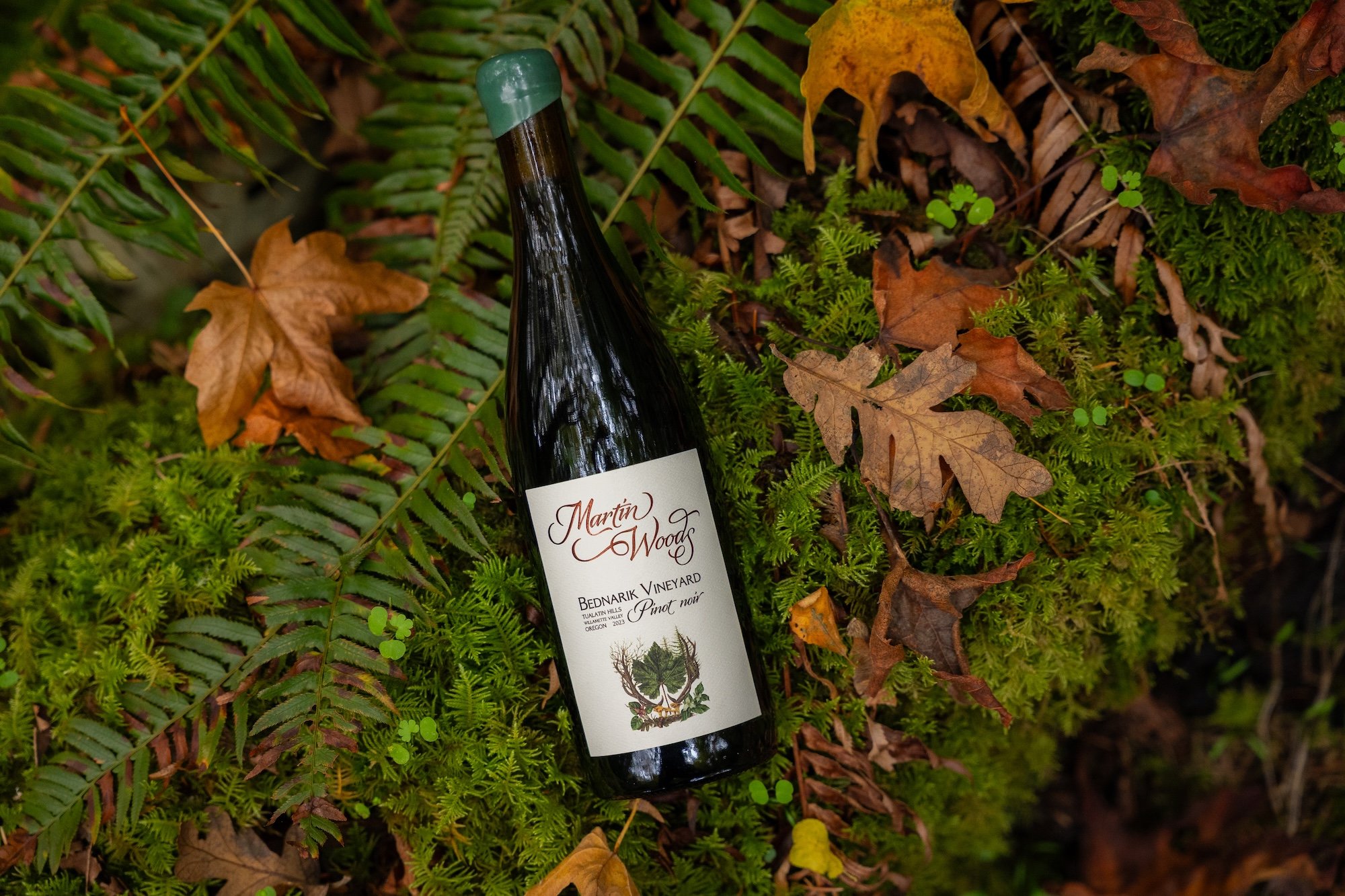 bednarik-2023-wild-bottle.jpg