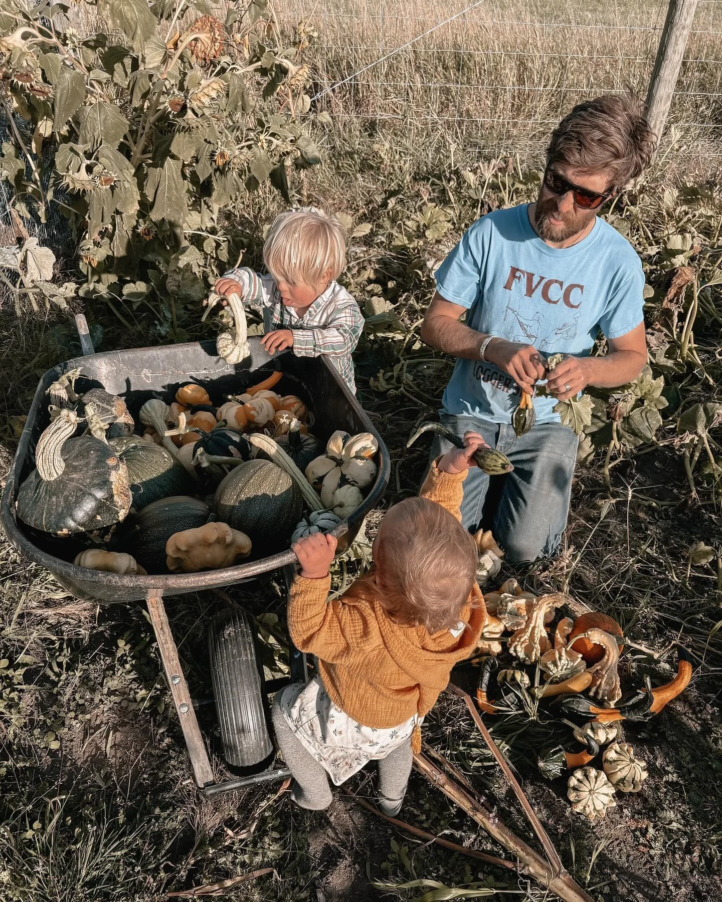 Sometimes your largest harvest is a bunch of inedible gourds. See you never gardening season 2024. The garden is now open for chickens to consume. 

#nothomesteading 
#downsyndrome
#letitburn