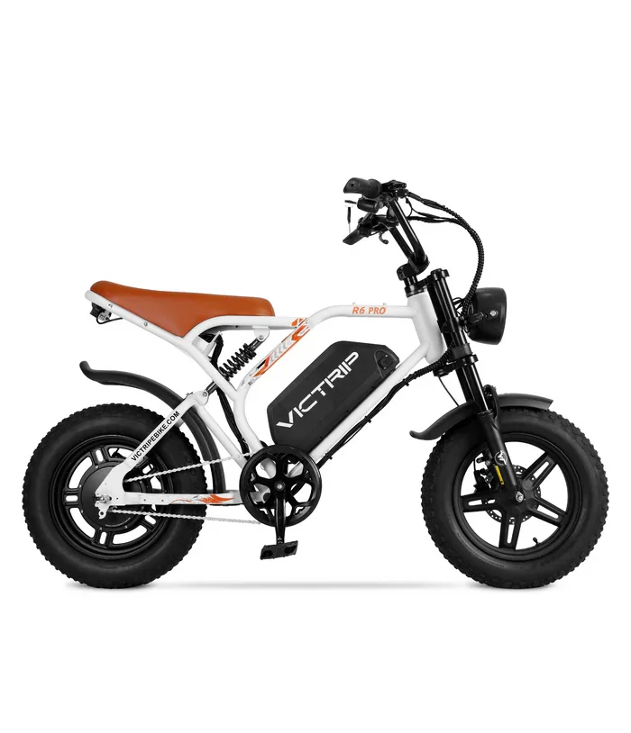 electric-bike-1800-watt.webp