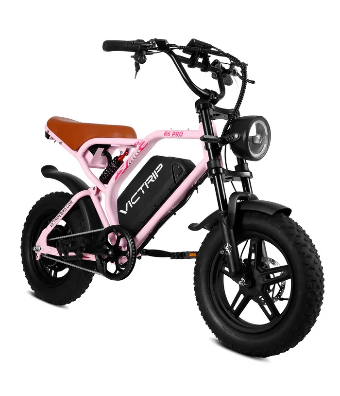 best-500-watt-electric-bike.webp