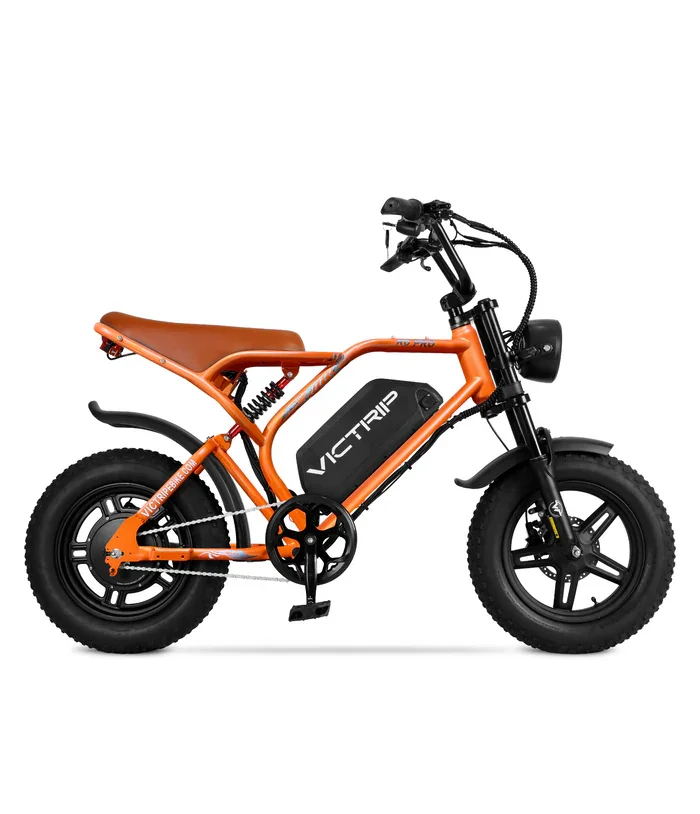 moped-style-electric-bicycle-teenager.webp