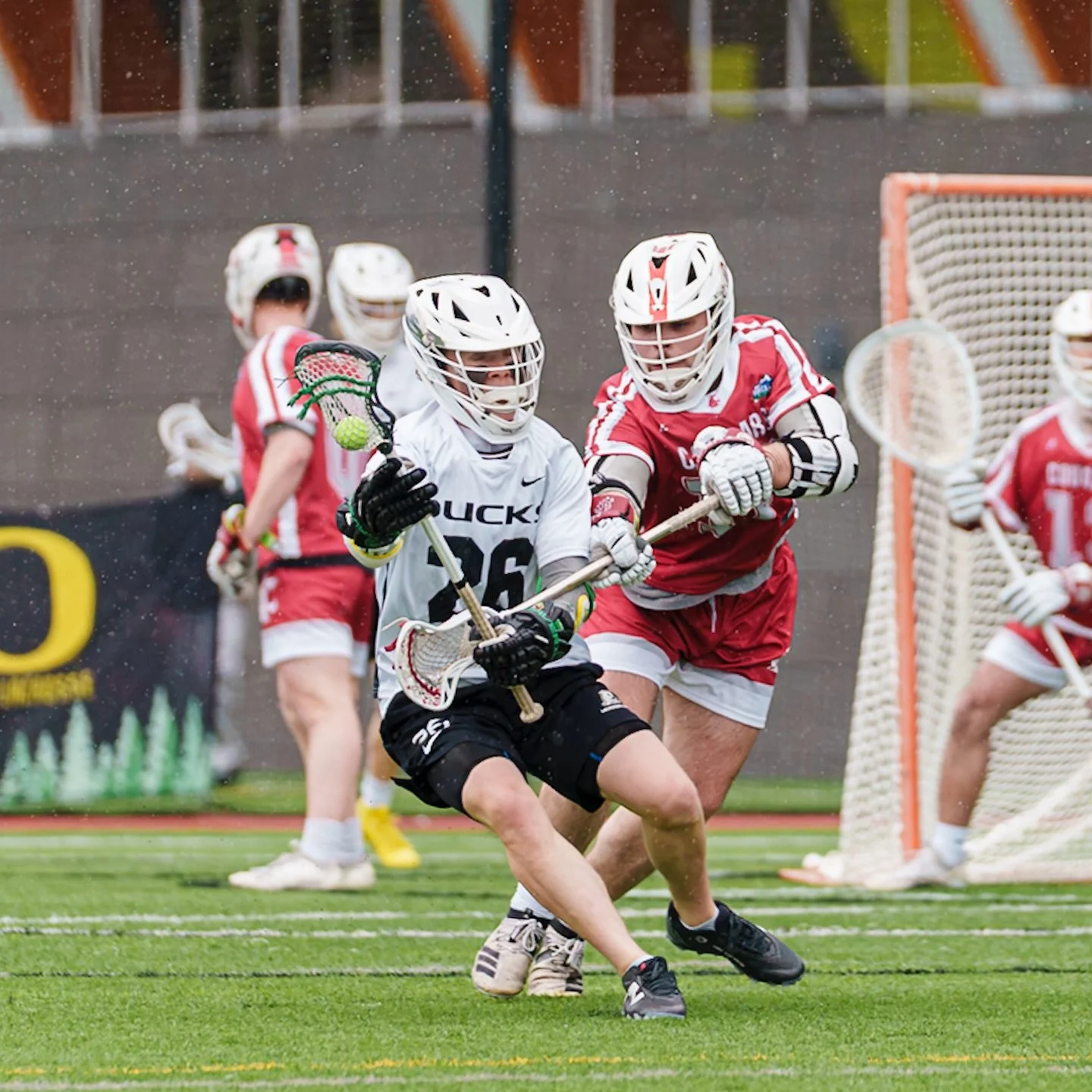 It was a blast photographing @uolacrosse vs. @wazzulax yesterday!  Thanks to the U of O media team for inviting me out to join the fun. Gallery link in bio.

@the_mcla 
@varsityclublacrosse