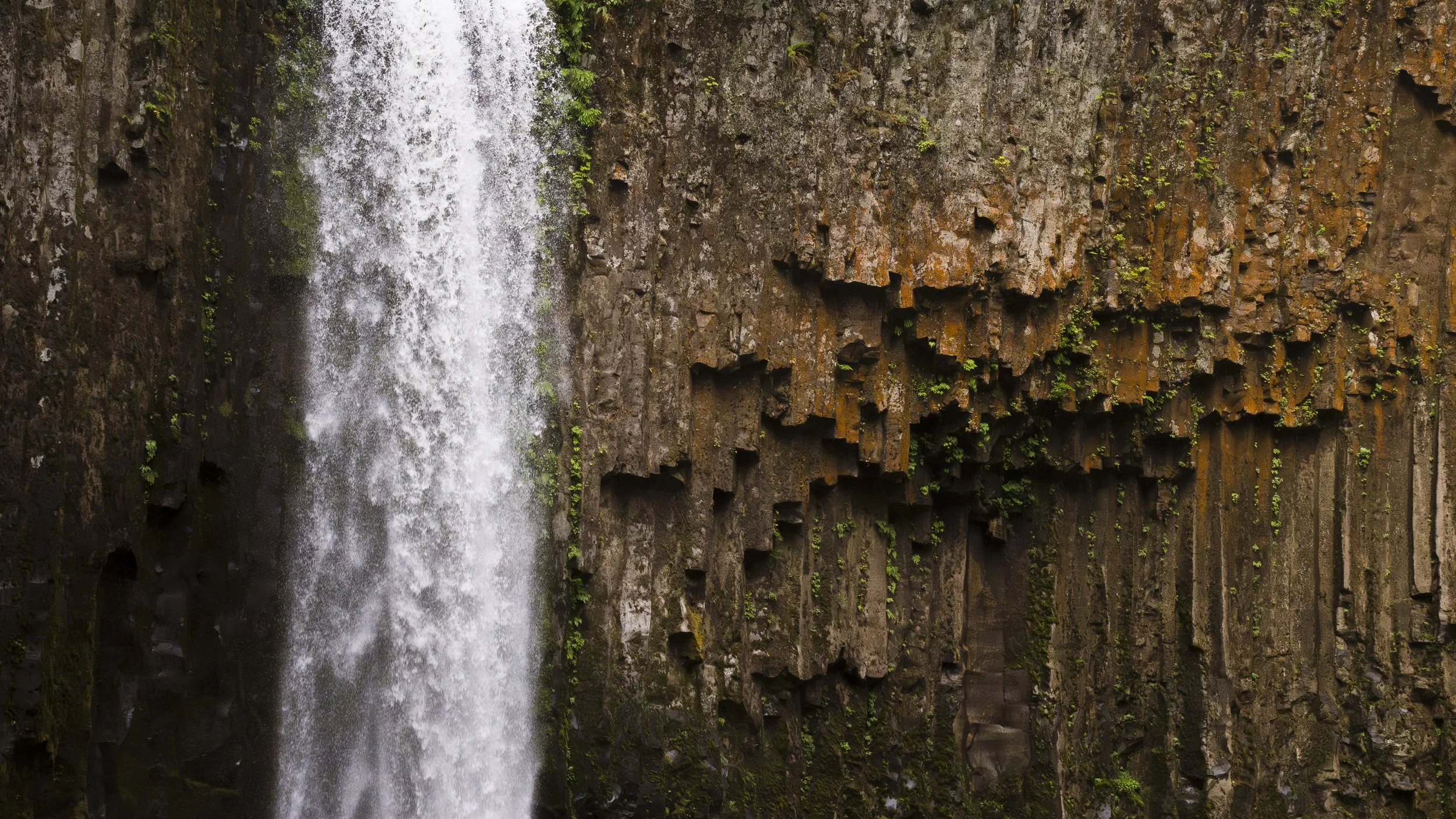 Abiqua Falls, Oregon