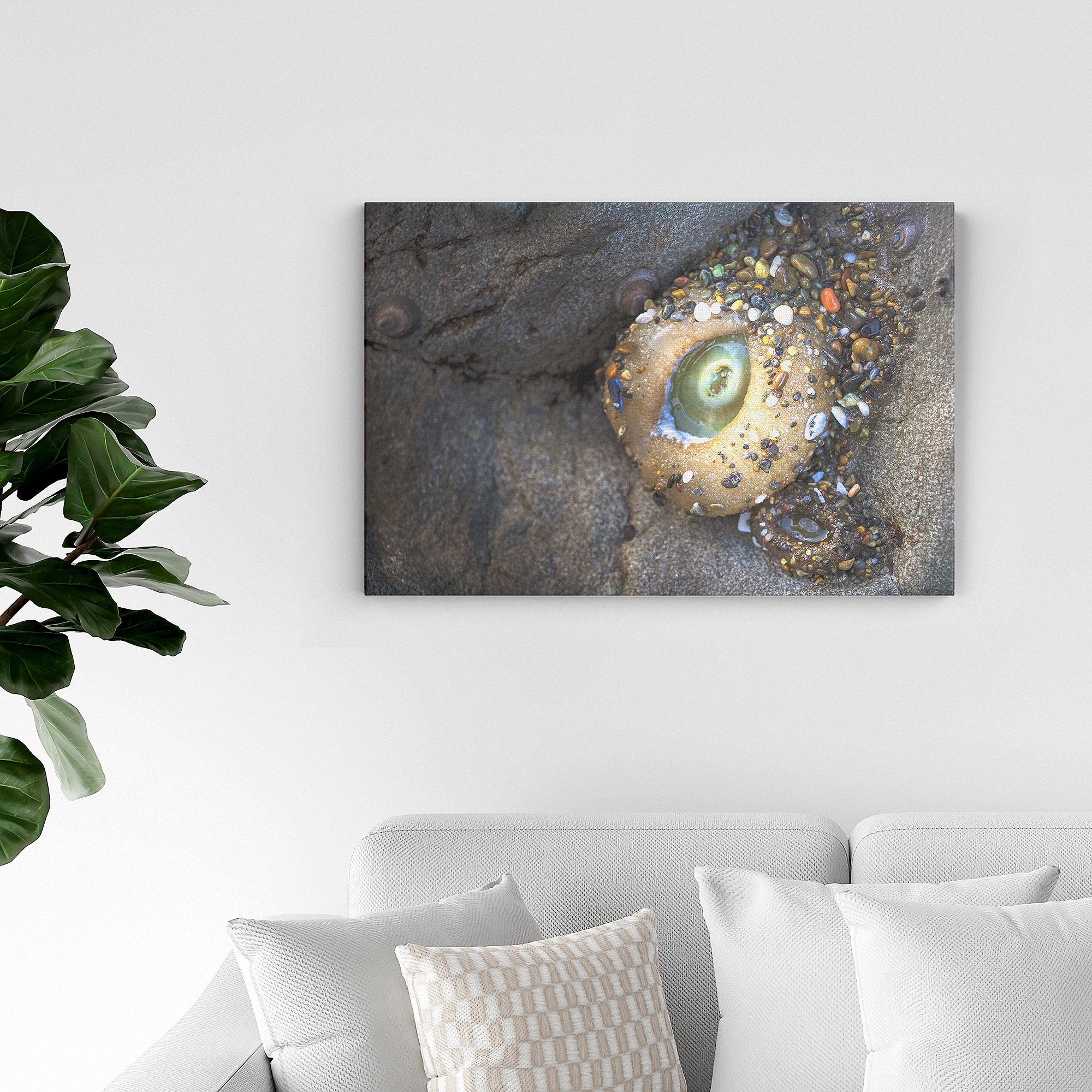 Bejeweled-Anemone-02.jpg