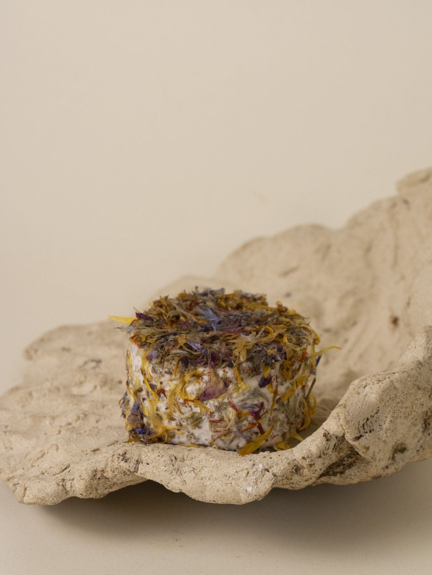 Langres_10.jpg