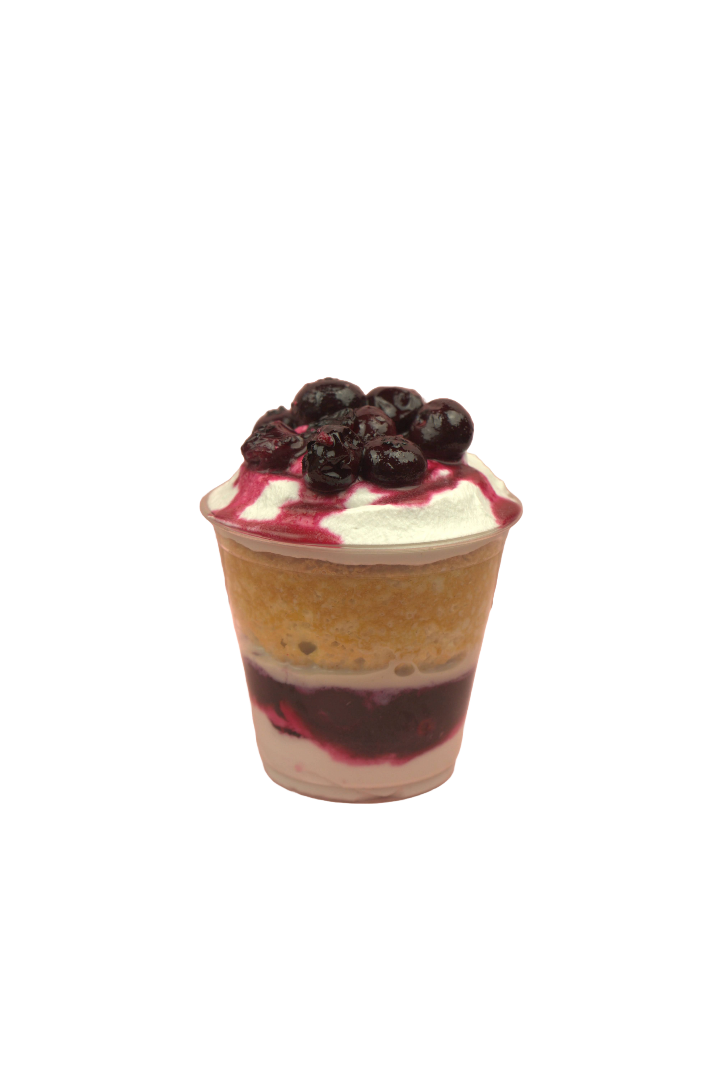 Jersey Blueberry