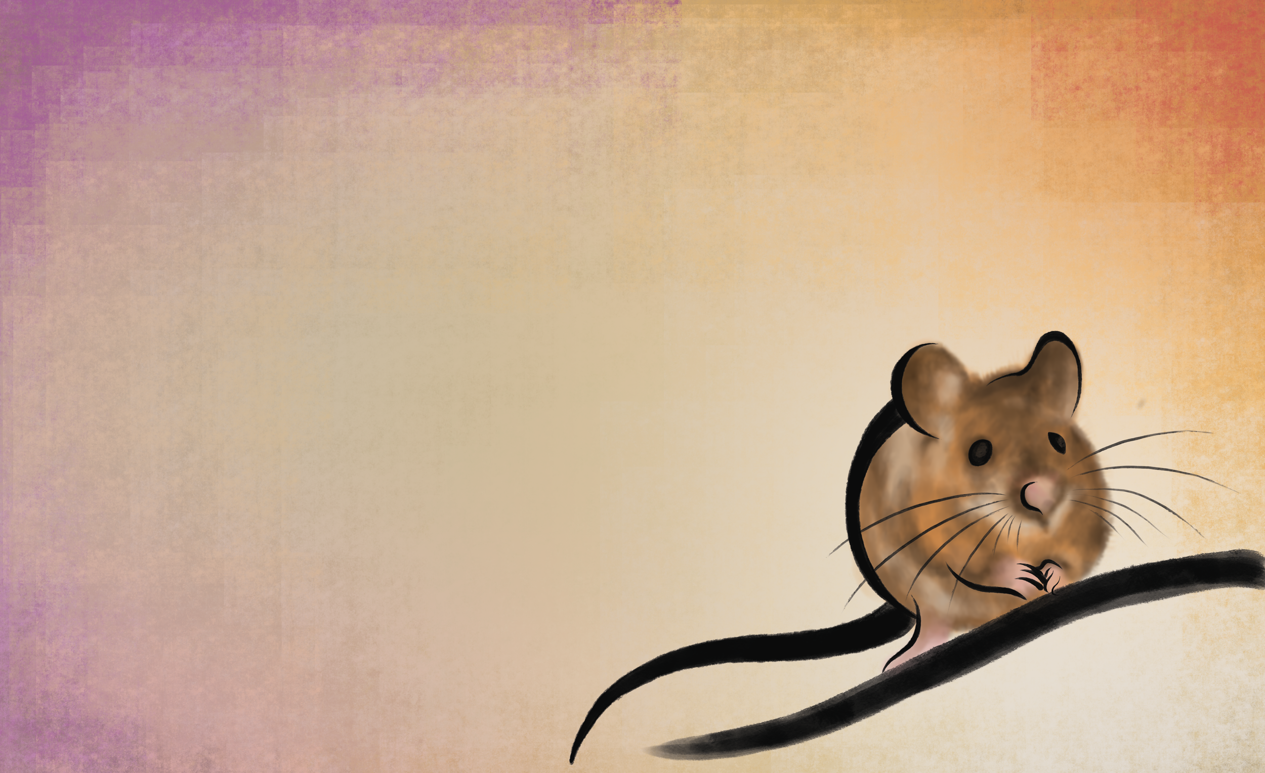 mouse.png