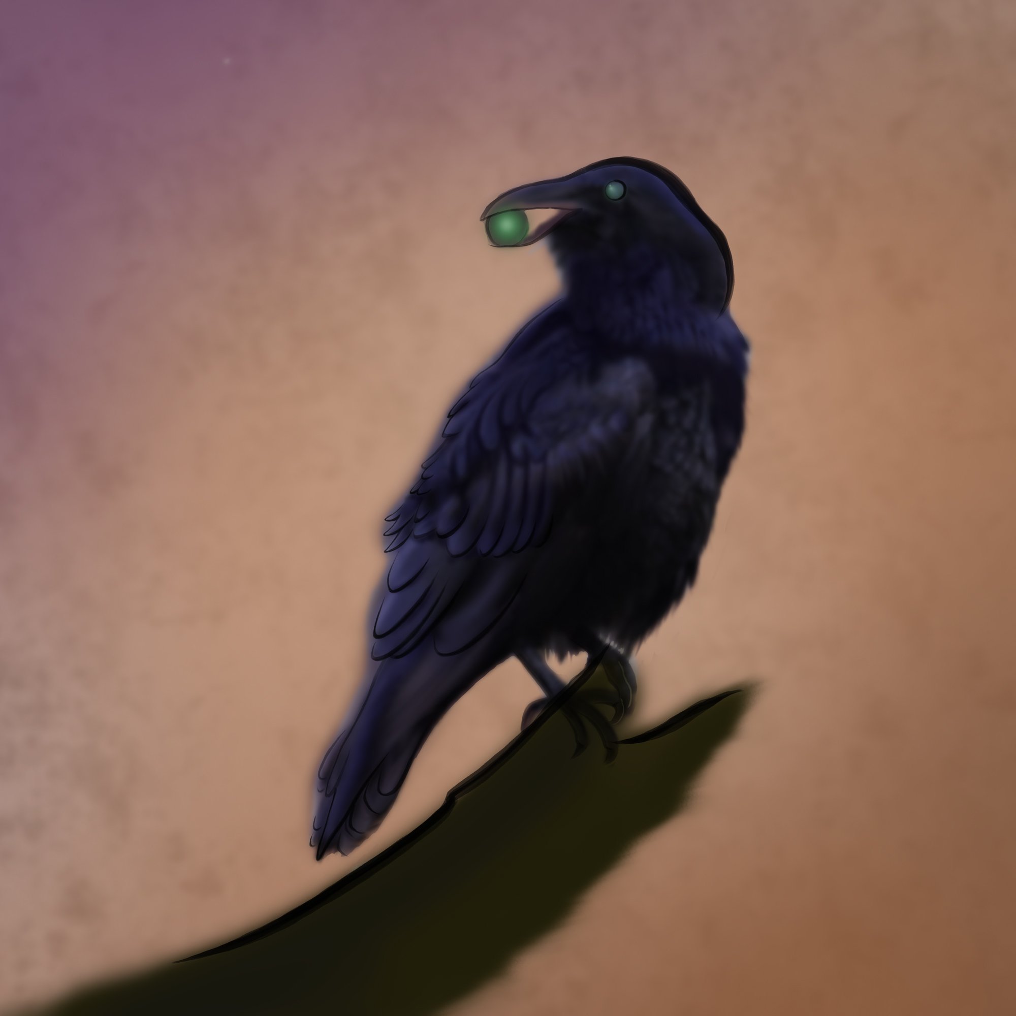 Raven