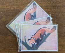 Red Panda (Card Bundle of Three)