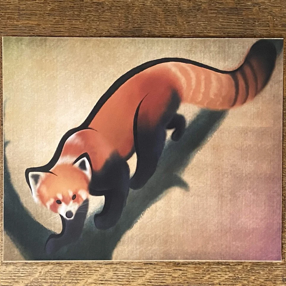 Red Panda (Print)