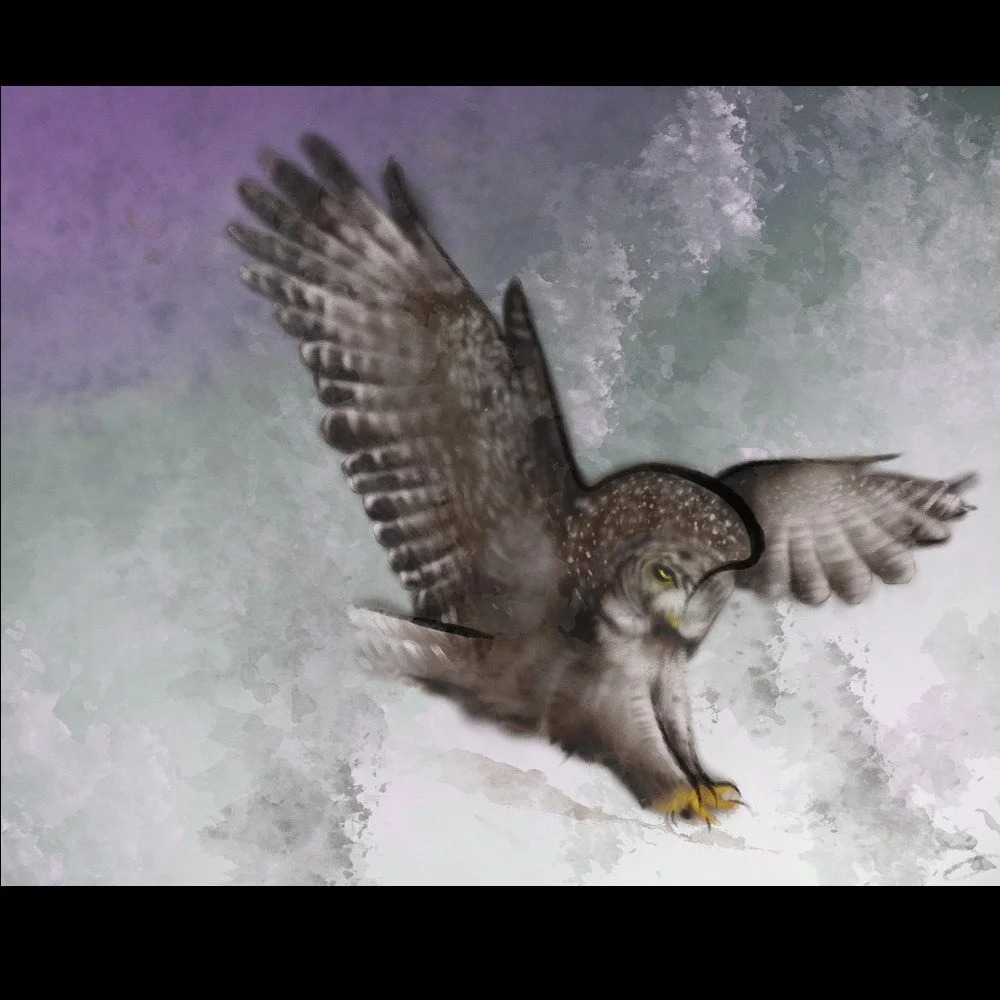 owlthumb.jpg