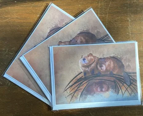 beaver cards.jpg