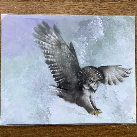owl.jpg