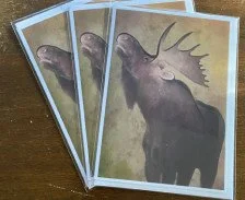 Moose (Card Bundle of Three)