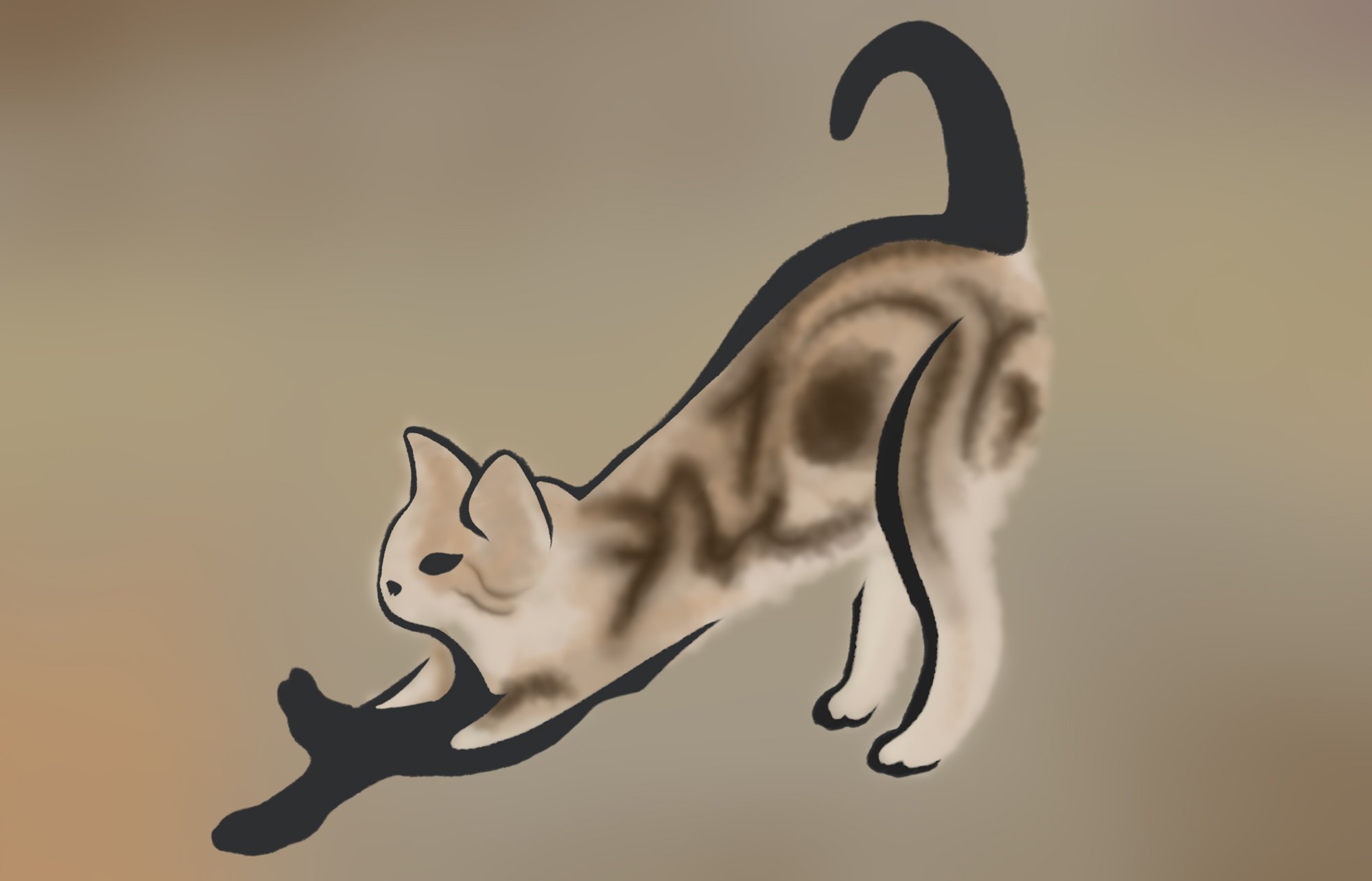 cat6.jpg
