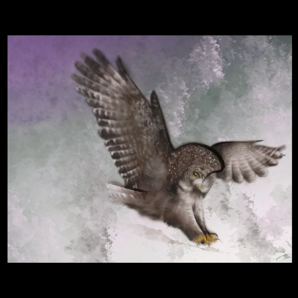 owlthumb.jpg