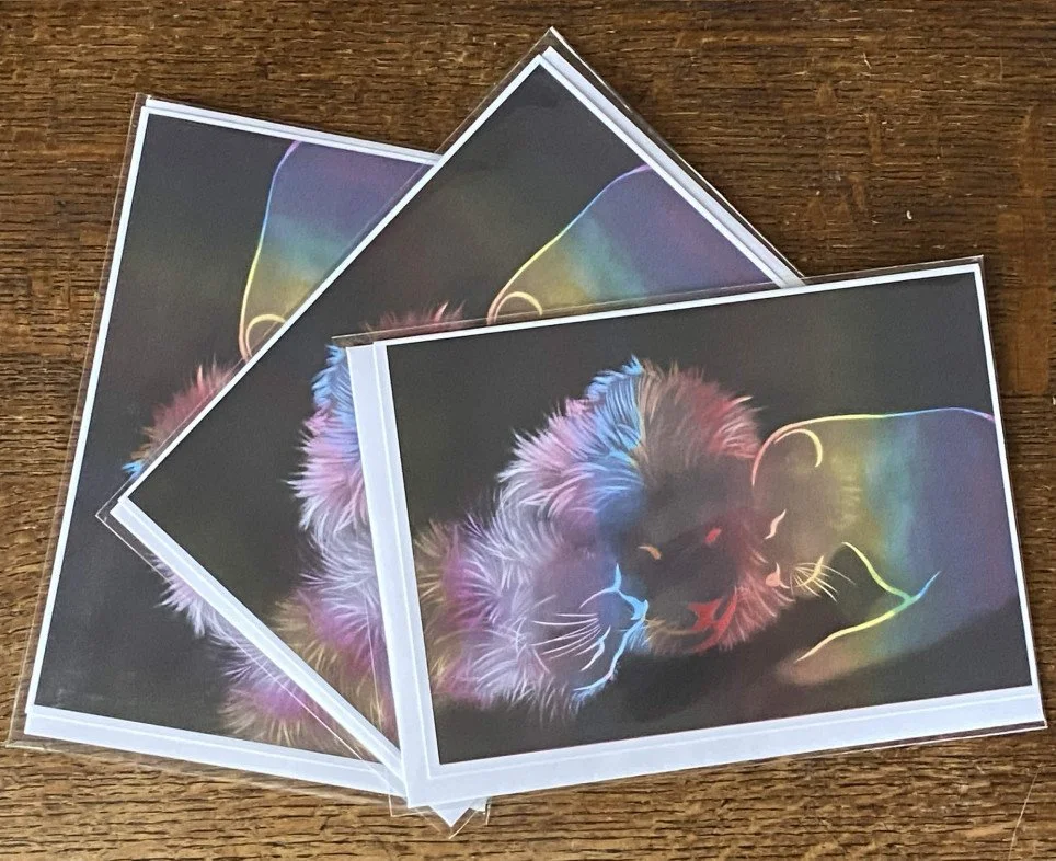 Pride (Card Bundle of Three)
