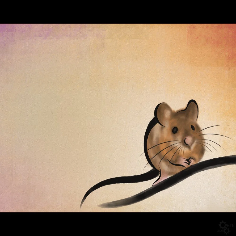 Mouse