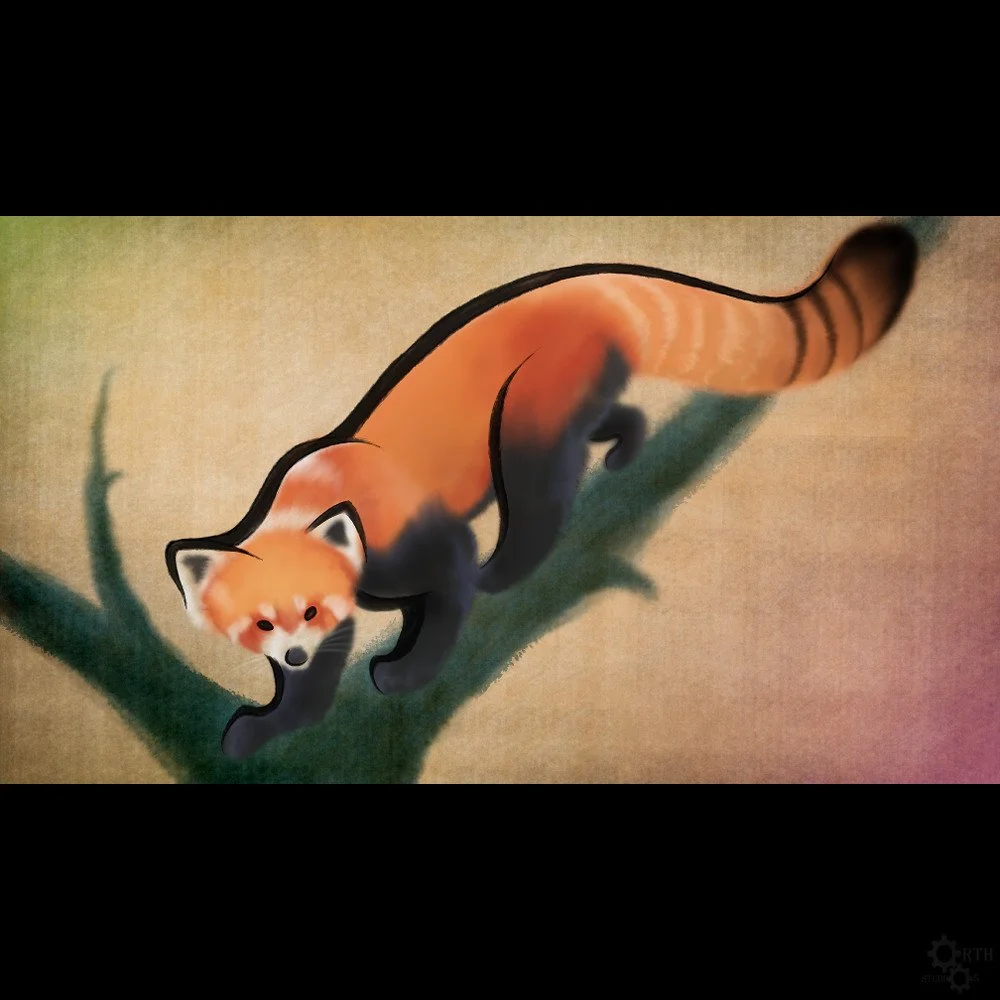 Red Panda