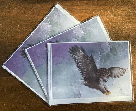 Owl (Card Bundle of Three)