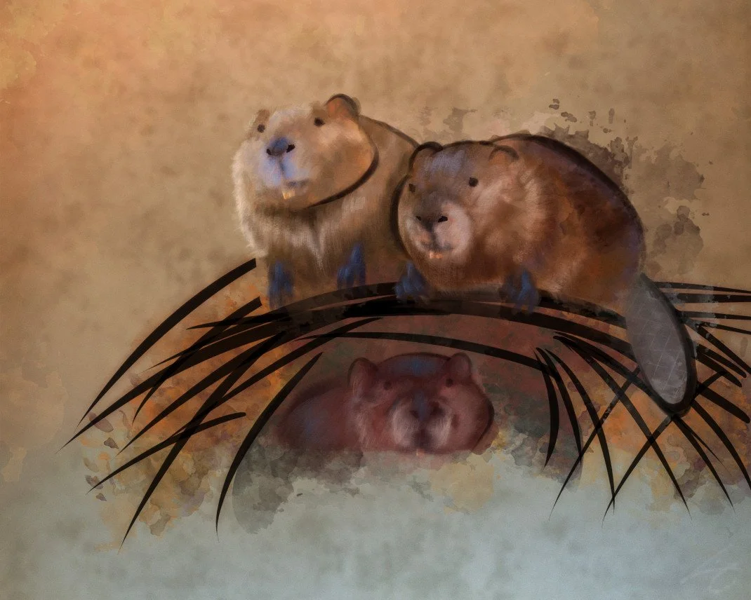 beavers.jpg
