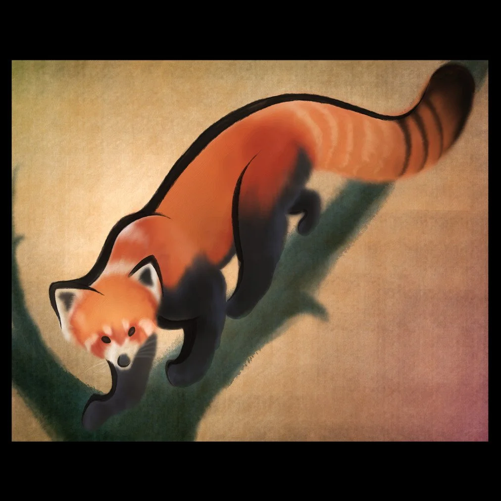 redpandathumb.jpg