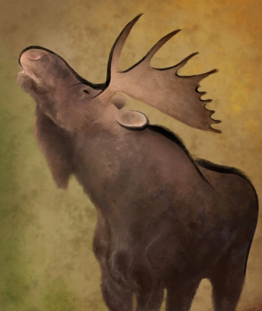 moose.jpg