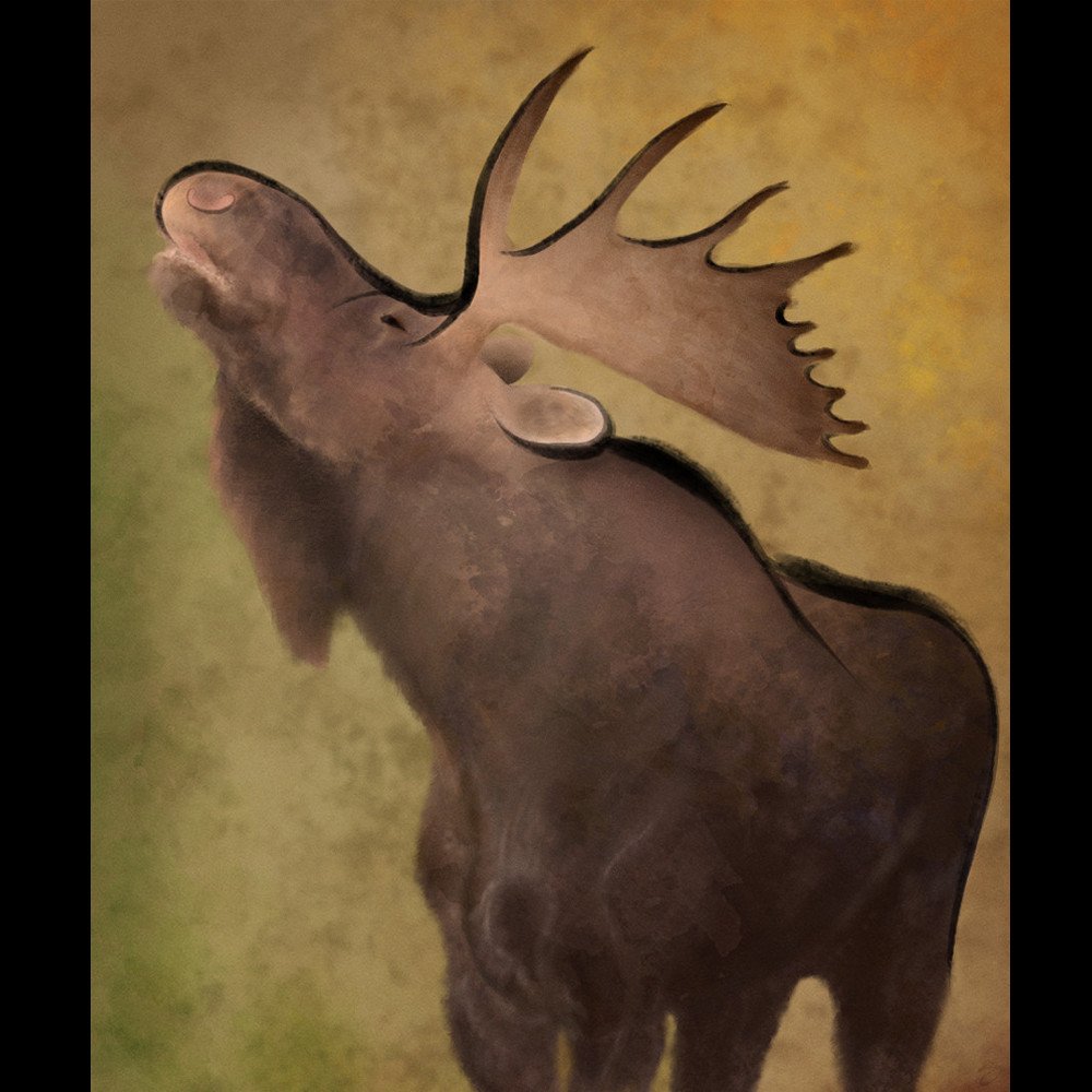 -Moose-