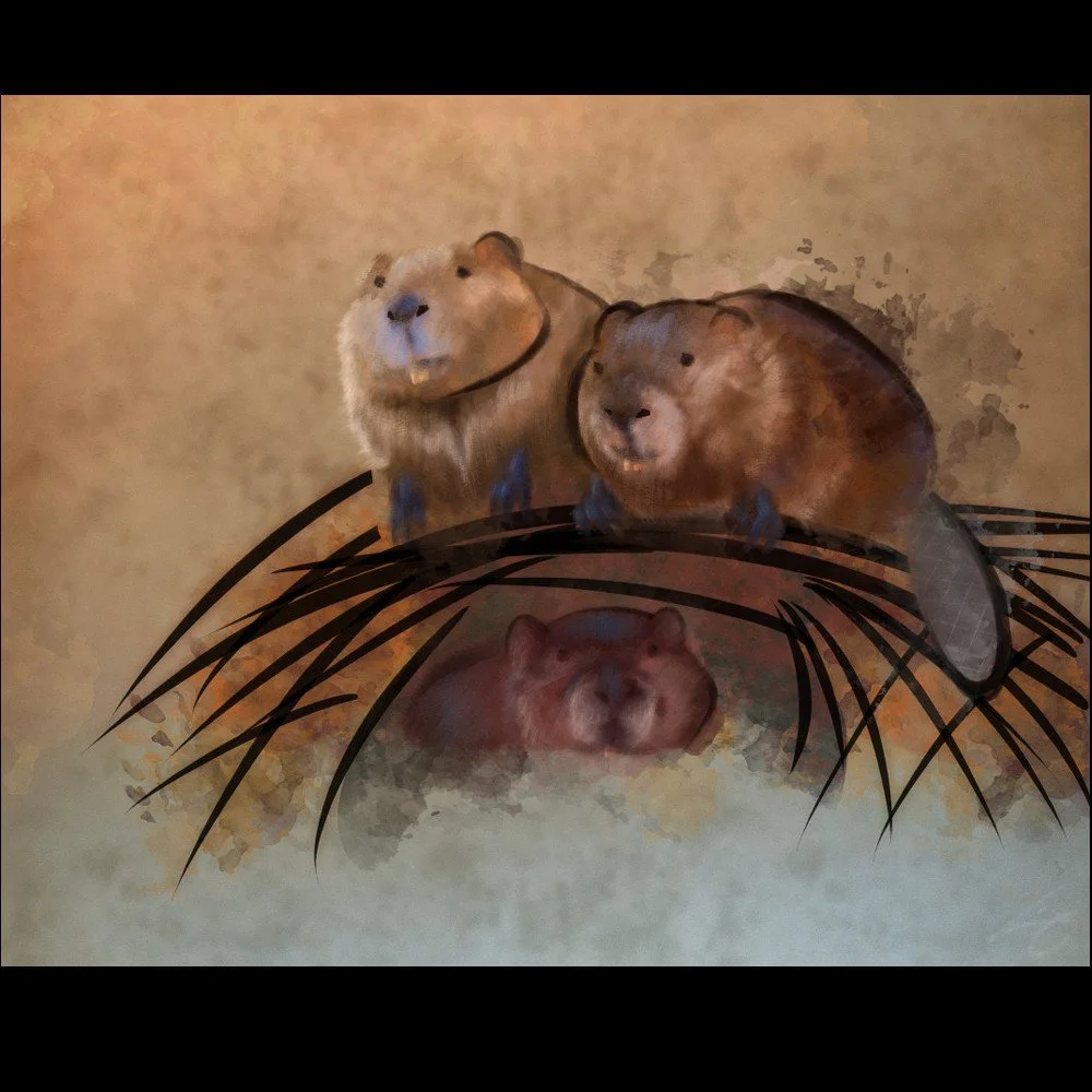 -Beavers-