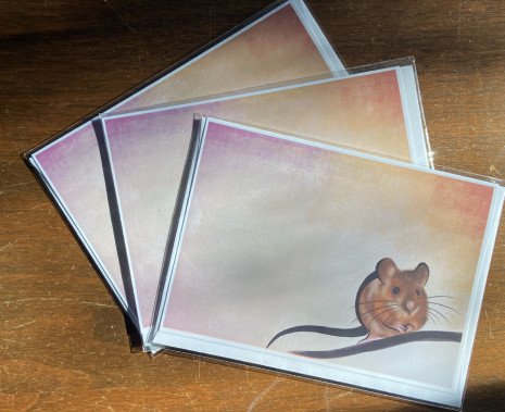 Mouse (Card Bundle of Three)