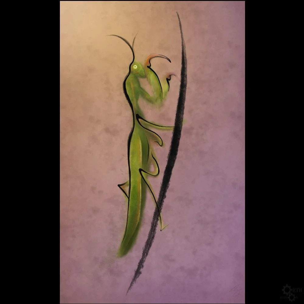 Mantis