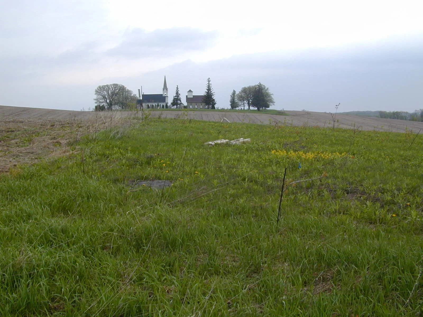 Prairie Notes: Badger Work