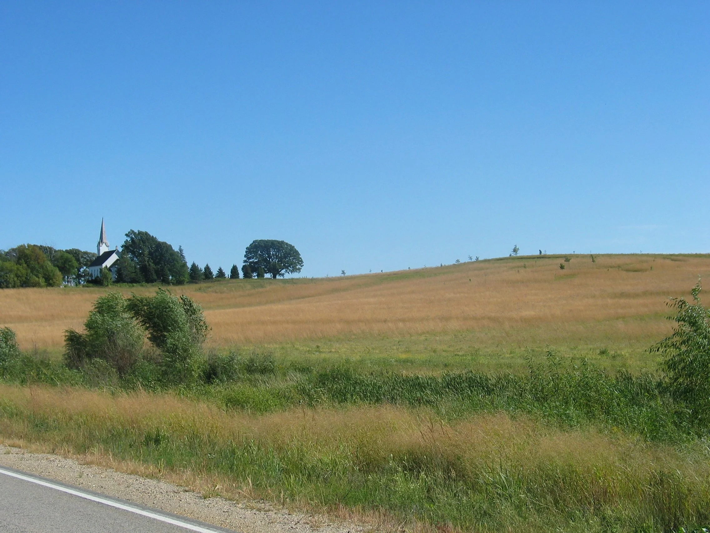 Prairie Notes: Frick and Frack, or Take Your Fledgling to Work Day