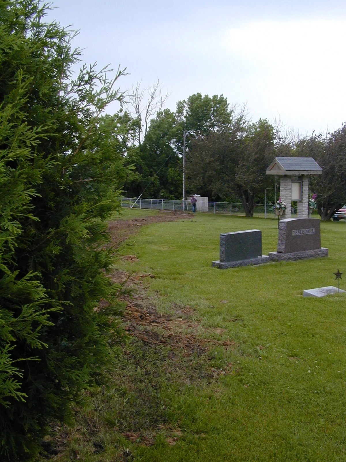 Prairie Notes: An Arboreal Mystery